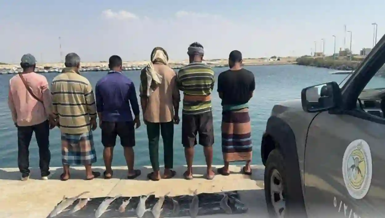 السعودية تعلن عقوبات جديدة تتضمن الغرامة والسجن والترحيل لكل من يصطاد أو يتاجر بهذا النوع من الأسماك 