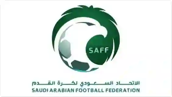 بعد إغلاق الميركاتو الشتوي.. ملخص صفقات أندية دوري روشن في يناير 2025 والهلال صاحب المفاجأة الاكبر 