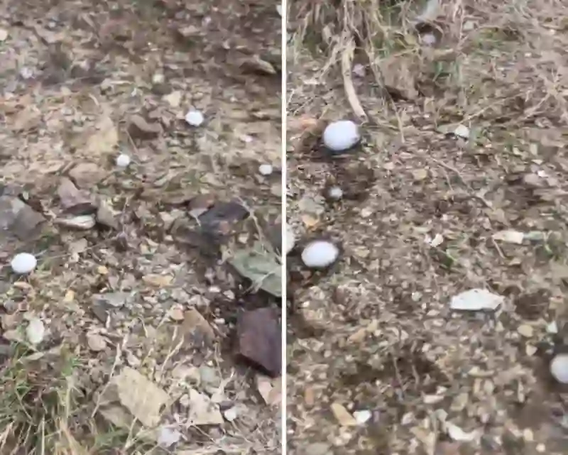 بدون سقوط أمطار ولا سُحب فيديو سقوط حبات برد كبيرة من السماء على محايل عسير 