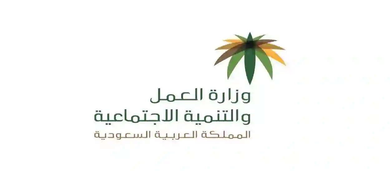الجوازات تعلن بدء تطبيق التسهيلات الجديدة في نقل كفالة المقيمين بعد تعديلات نظام الكفالة في السعودية 1446 تتضمن تسهيلات في شروط نقل الكفالة بخطوة واحدة