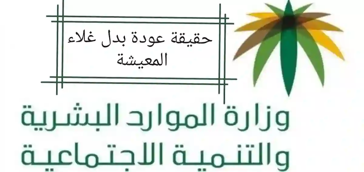 عودة صرف بدل غلاء المعيشة من هذا التاريخ والموارد البشرية تكشف التفاصيل
