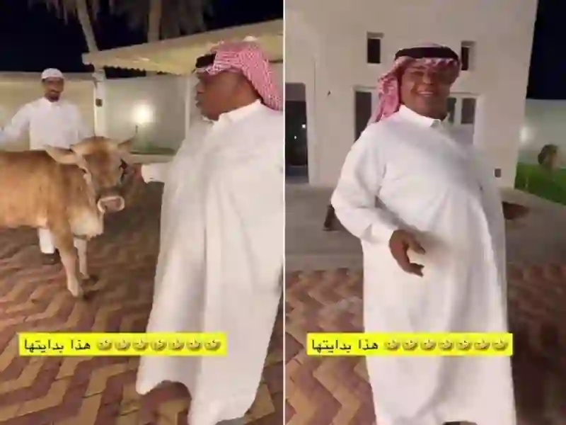 فيديو بعد ما بكى ابو حسين بسبب مقلب أصحابه أمام ضيوفه مقلب جديد بطلته البقرة وهكذا رد أبو حسين هذه المرة 
