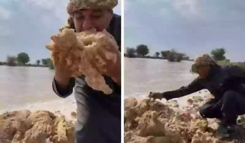 فيديو الزعاق يبشر بسنة خير بعد أن ظهرت هذه العلامة في مجرى السيل 