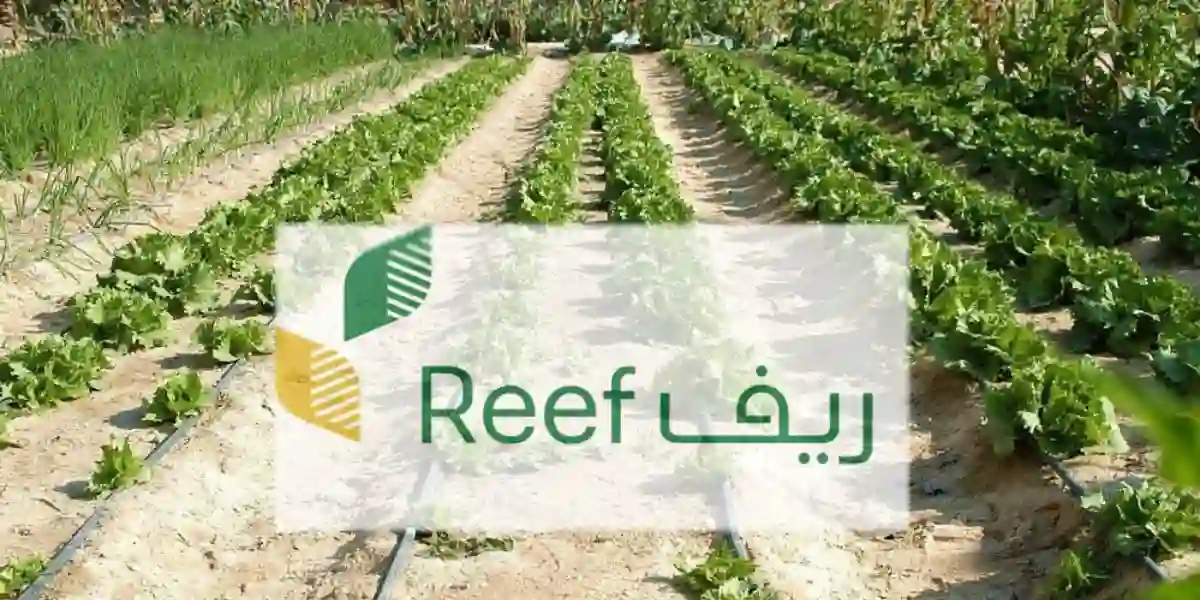 حاسبة حساب دعم ريف 1445 الرابط الرسمي