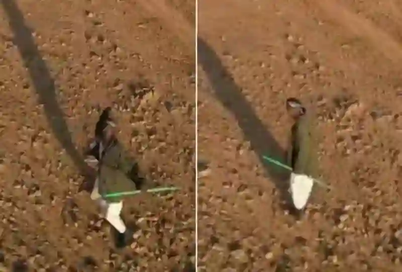 فيديو راعي غنم يسقط طائرة بحجر بعد أن زعجت اغنامه 
