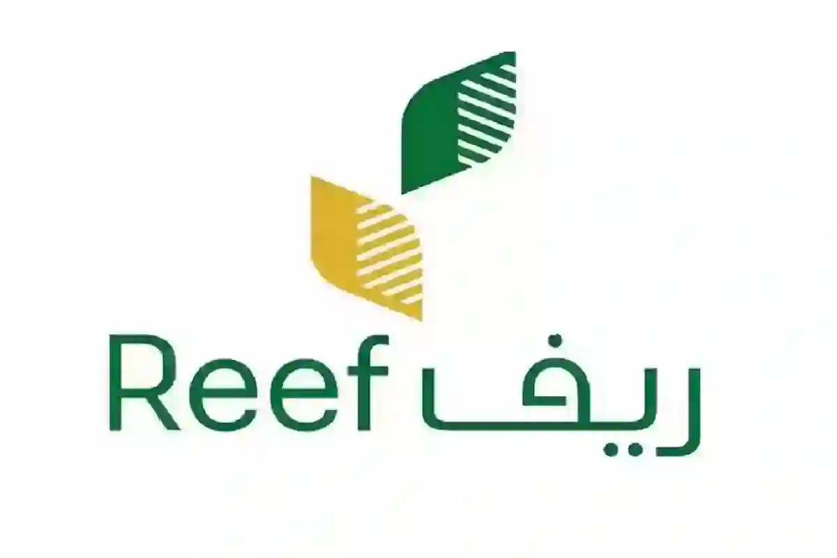 خطوات تسجيل الدخول reef.gov.sa لكافة الفئات في المملكة العربية السعودية 