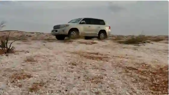 مشهد مذهل للثلوج تغطي هذا الطريق السريع في السعودية لأول مرة 