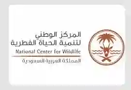رسمياً: من اليوم غرامة كبير على كل من يصطاد هذا الحيوان المنتشر في السعودية 