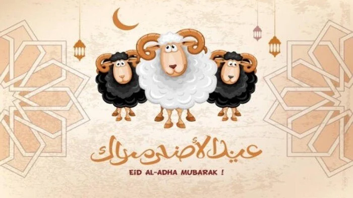 السعودية تكشف عن عدد المكالمات المحلية والدولية التي أجراها الحجاج في يوم عيد الأضحى فقط ومفاجأة في عدد المكالمات المحلية
