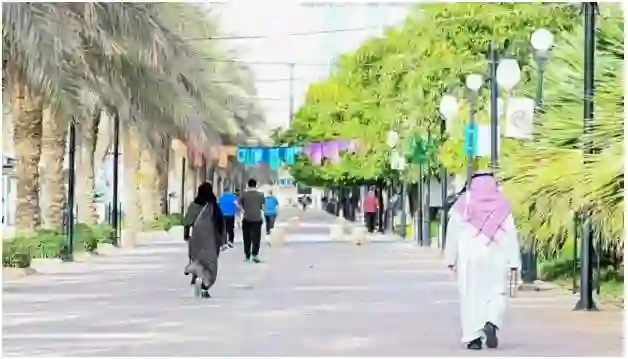 رسمي.. السعودية تعلن زيادة متوسط أعمار السعوديين وتكشف عن متوسط الأعمار الجديد في 2026 