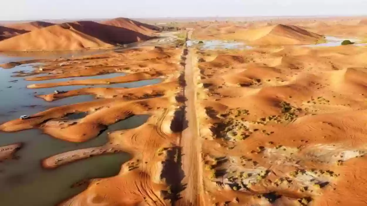 أصل الملحم في السعودية وش يرجعون؟ 