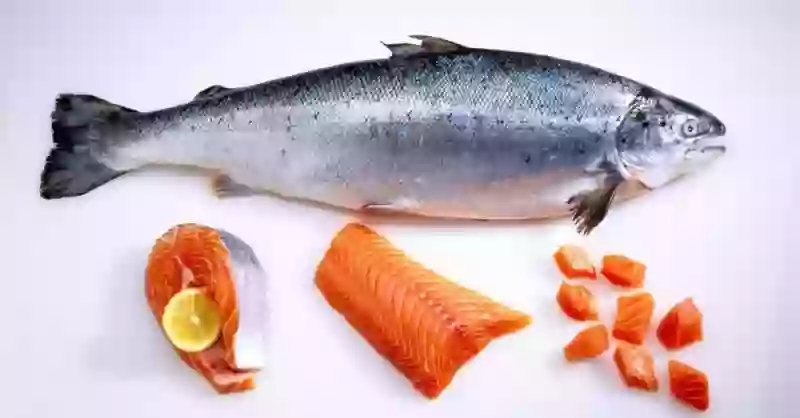 فيديو أفضل وأسوأ أنواع الأسماك في أسواق السعودية 1445