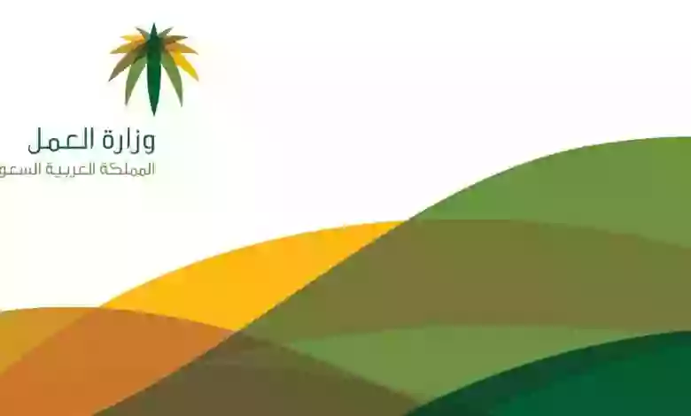خدمة جديدة من الموارد البشرية تسمح باستخراج كل بيانات أي وافد خلال ثواني فقط 