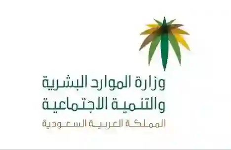 الموارد البشرية: في هذه الحالات فقط يؤثر السجل التجاري على استحقاق راتب الضمان 