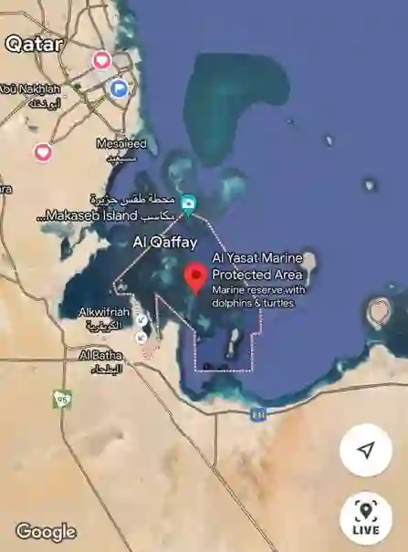 معلومات كاملة عن موقع وتاريخ جزيرة الياسات السعودية في الخليج العربي 