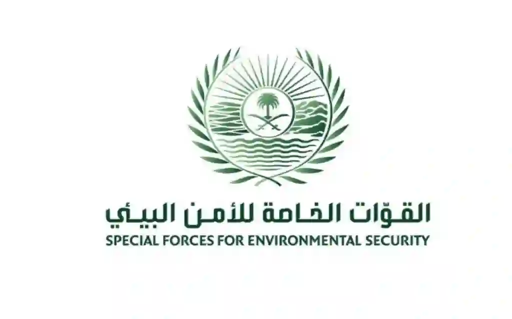 السعودية: غرامة بقيمة 5000 ريال على صيد هذا الطائر المنتشر في الرياض والشرقية وجنوب المملكة
