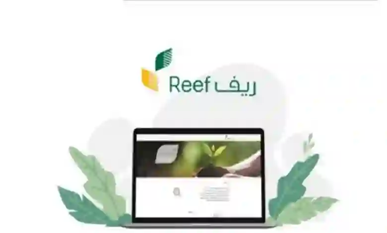 وزارة البيئة تكشف سبب تأخير صرف دعم ريف هذا الشهر