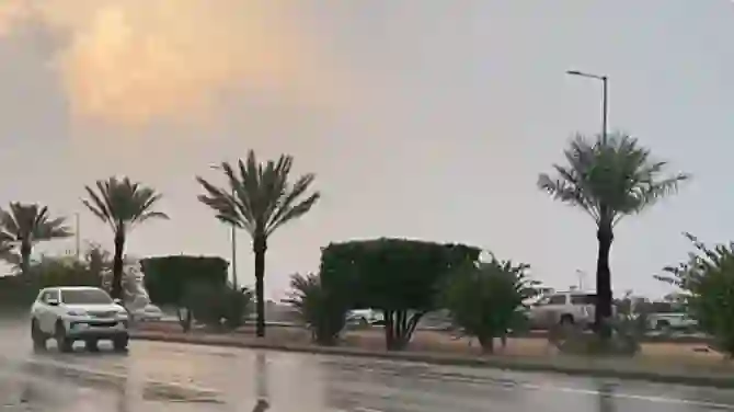 فلكياً الشتاء في السعودية ينتهي في هذا التاريخ قبل شهر رمضان 1446 