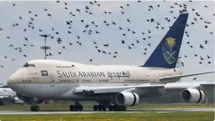 الكشف عن مصير طائرات الخطوط السعودية العملاقة بعد خروجها من الخدمة 