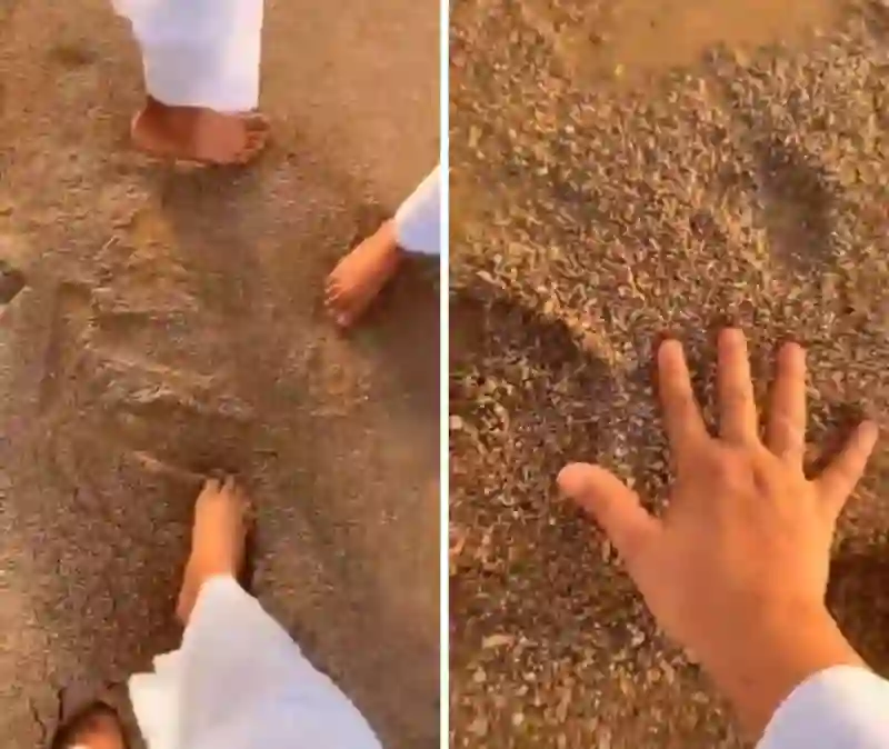 فيديو سبحان الخالق رمال الصحراء في السعودية تتصرف بطريقة غريبة تحت المطر الغزير كأنها كائن حي 