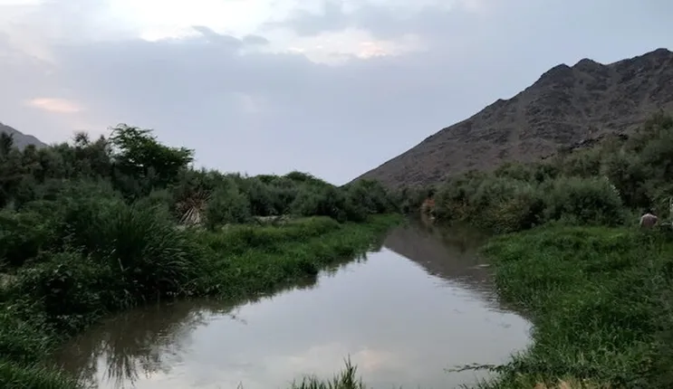 كل ما تريد معرفته عن منتزه البيضاء في المدينة المنورة المكان المفضلة للعائلات 