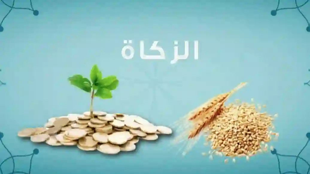 زكاة الفطر لو خرجتها رز كم كيلو لازم أخرج على كل نفس؟ 