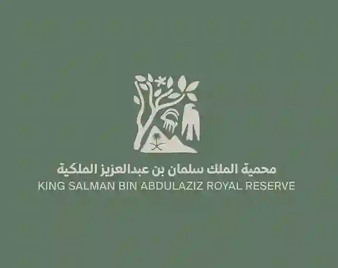 طائر يظهر في سماء السعودية لأول مرة بلونه الأبيض اللافت والكشف عن سبب ظهوره في سماء المملكة