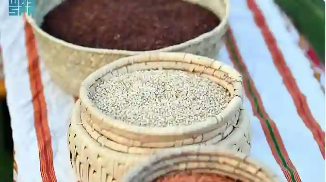 حصري .. تعرف على نبات لن تجده في أي مكان في العالم إلا في عسير جنوب السعودية 