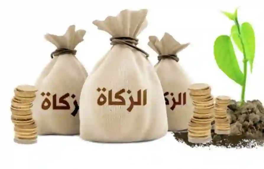 حاسبة زكاة الفطر وزكاة المال وزكاة الذهب في السعودية 1445 وطريقة حساب الزكاة هذا العام 