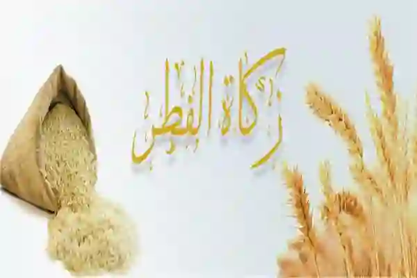 وش حكم إخراج الزكاة نقداً عن المالكية؟ 