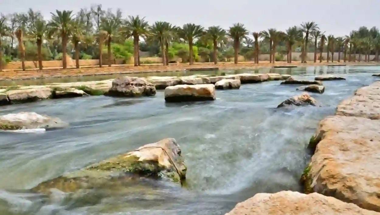 رسوم دخول منتزه السد الحجري بالرياض الأنشطة الحماسية والممتعة للعوائل