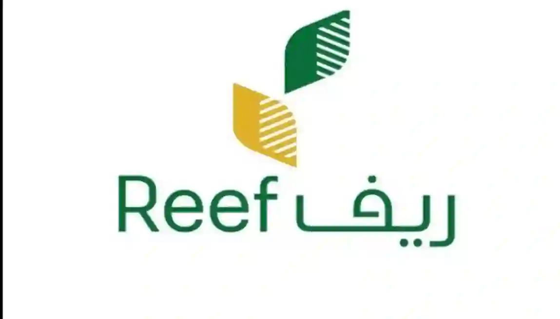 رسمياً: ريف يعلن وقف الدعم بشكل نهائي عن كل هذه الفئات من المستفيدين ومصادر تكشف السبب 
