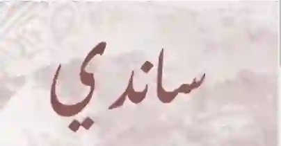 سبب منع استخدام اسم ساندي لتسمية البنات في السعودية ومعنى اسم ساندي 