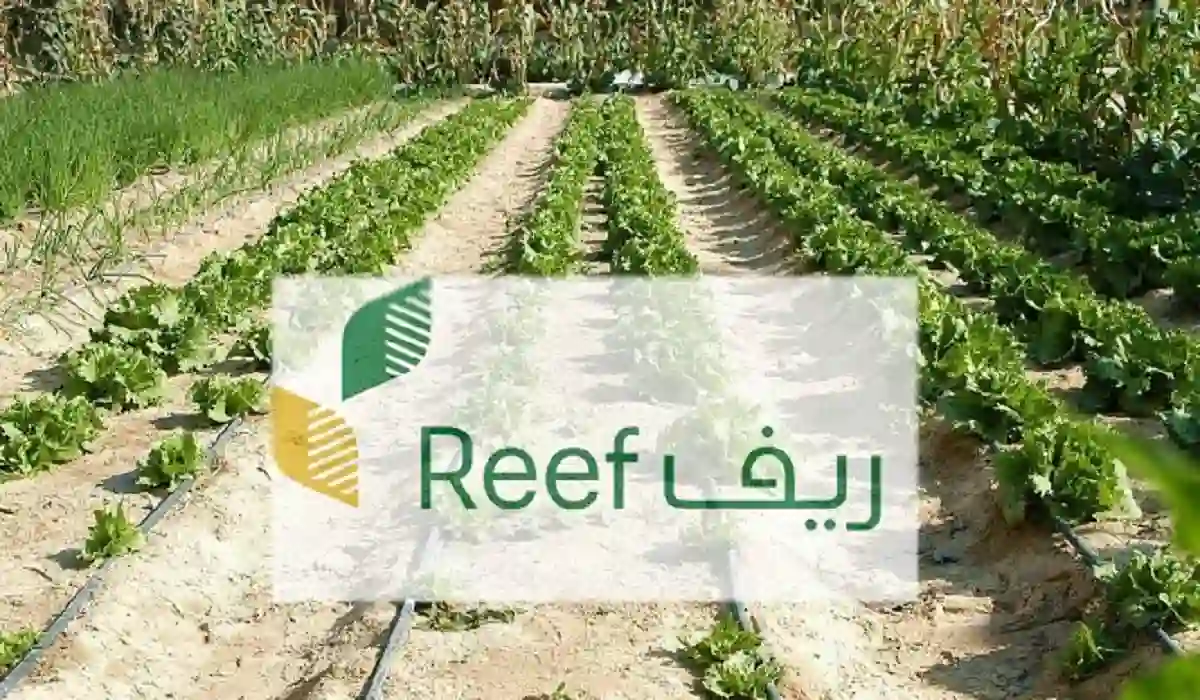 طريقة التسجيل في دعم الريف 1445 والشروط المطلوبة للتسجيل