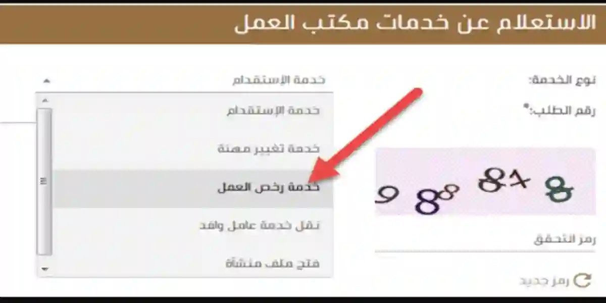 دليل التواصل مع مكتب العمل والخدمات التي يقدمها للمقيمين العاملين على اراضي المملكة 2024