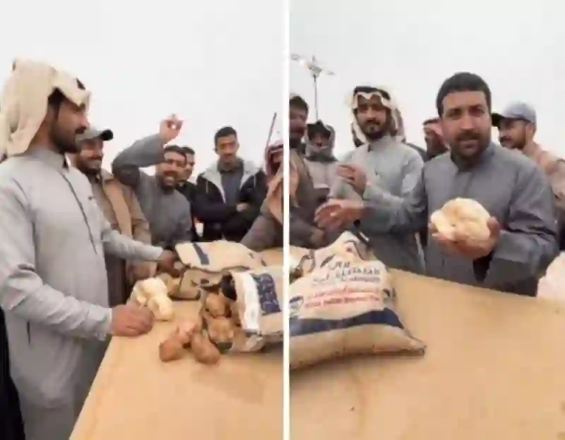 فيديو كم وصل سعر الفقع في طريف؟ 