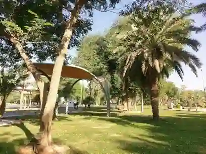 حدائق في الرياض فيها مناظر كأنك في أوربا ولا يعرفها الكثيرون وما فيها زحمة 