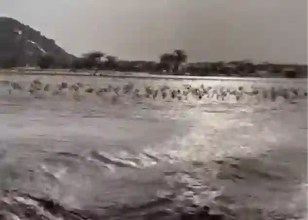تدفق سيول جارفة جنوب الطائف 