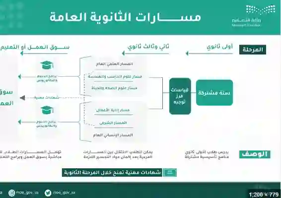 دليل أحسن مسارات الثانوية للطلاب والطالبات 1446 