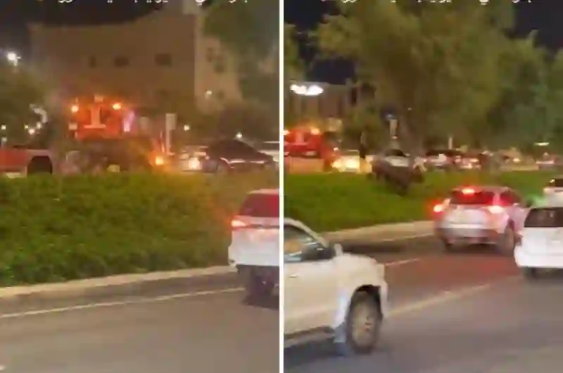 الفيديو الكامل لثور هائج يقلب الطريق الدائري في المدنية المنورة لساحة حرب ويدوس ويصطدم بالسيارات في كل الاتجاهات وهكذا كانت نهايته 