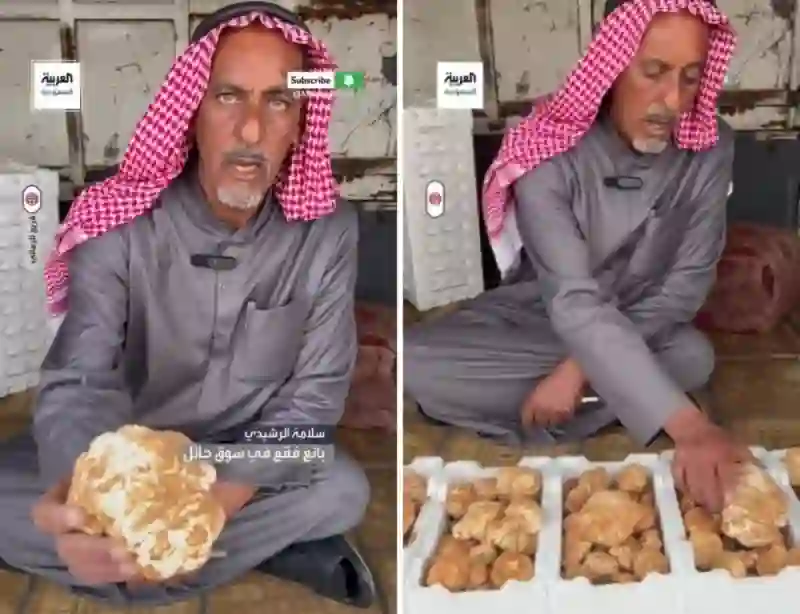 بداية بيع الفقع الزبيدي والكشف عن سعره 1445 